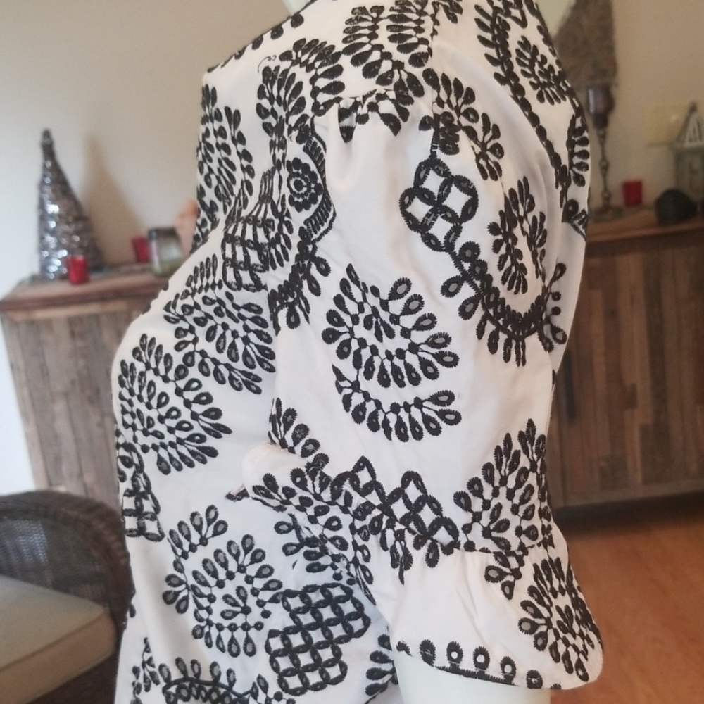 Zara Embroidered Ruffle Sleeve Top - Picture 5 of 11